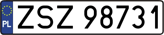 ZSZ98731