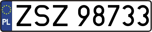 ZSZ98733