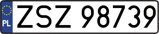 ZSZ98739