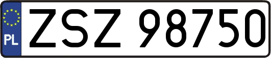 ZSZ98750