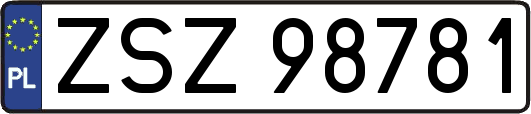 ZSZ98781