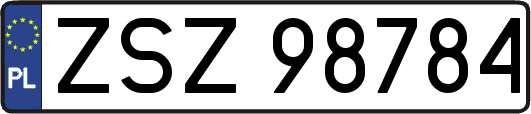 ZSZ98784