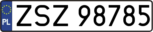 ZSZ98785