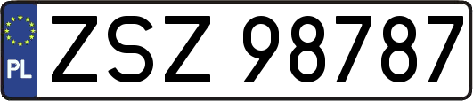 ZSZ98787