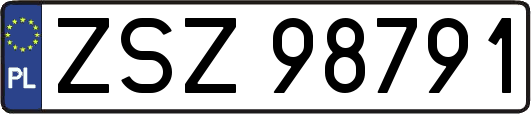 ZSZ98791
