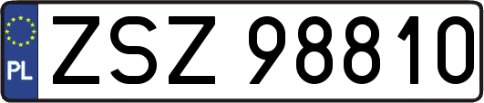 ZSZ98810