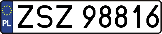 ZSZ98816
