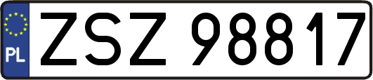 ZSZ98817