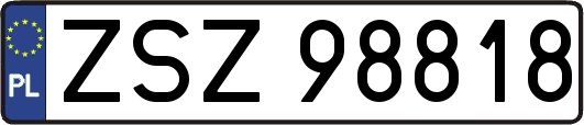 ZSZ98818