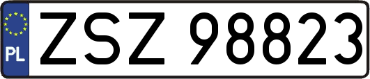ZSZ98823