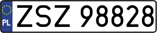ZSZ98828