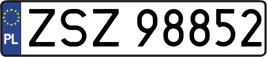ZSZ98852