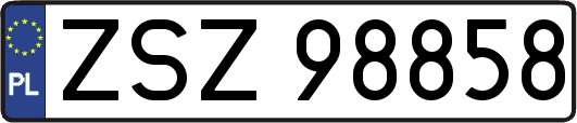 ZSZ98858