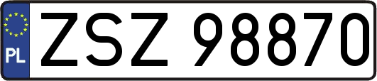 ZSZ98870
