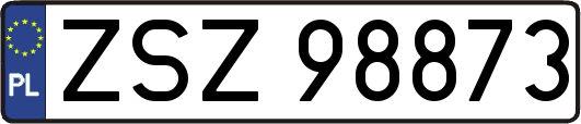ZSZ98873