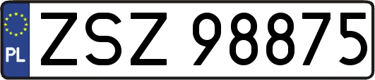 ZSZ98875