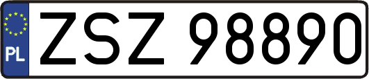 ZSZ98890