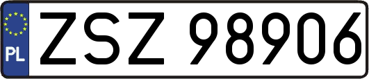 ZSZ98906