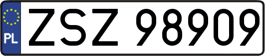 ZSZ98909