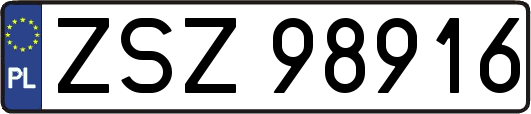 ZSZ98916