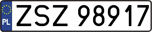 ZSZ98917