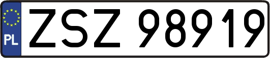 ZSZ98919