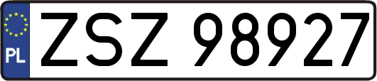 ZSZ98927