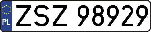 ZSZ98929