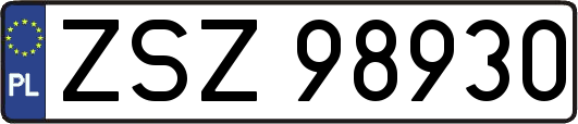 ZSZ98930