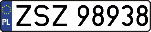 ZSZ98938