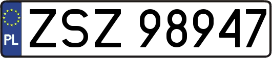 ZSZ98947
