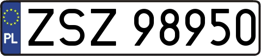 ZSZ98950