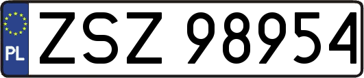 ZSZ98954