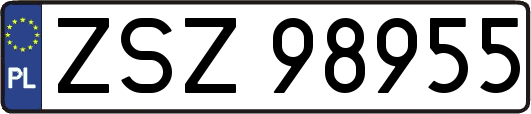 ZSZ98955