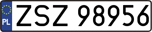 ZSZ98956