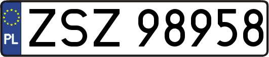 ZSZ98958
