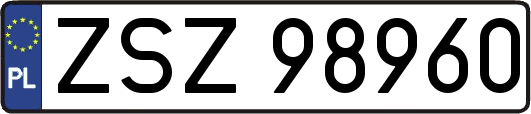 ZSZ98960