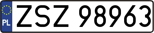 ZSZ98963