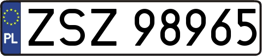 ZSZ98965