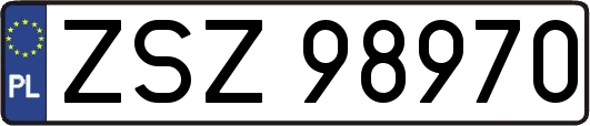 ZSZ98970