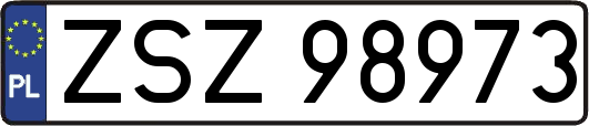 ZSZ98973