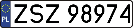 ZSZ98974