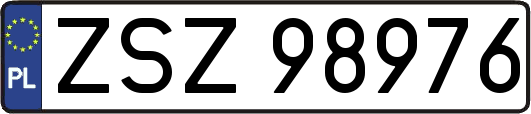 ZSZ98976