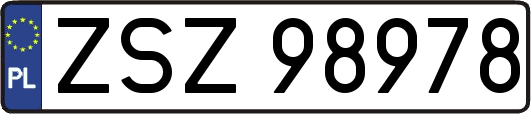ZSZ98978