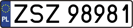ZSZ98981