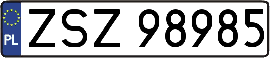 ZSZ98985