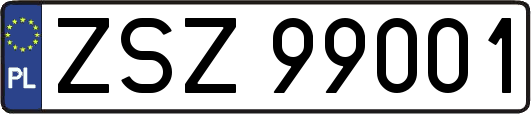 ZSZ99001