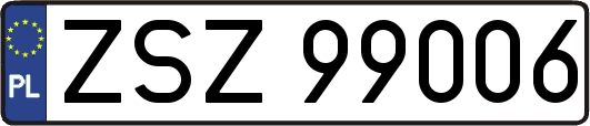 ZSZ99006