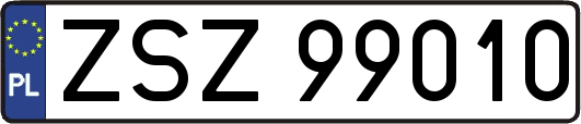 ZSZ99010