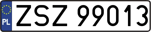ZSZ99013